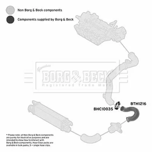Hadica plniaceho vzduchu BTH1216 (BORG & BECK) - obr. 2