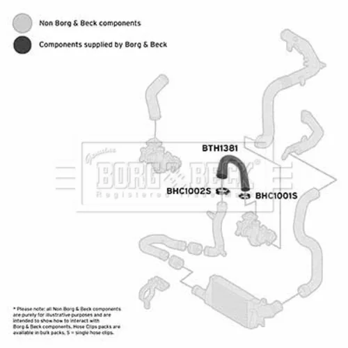 Hadica plniaceho vzduchu BTH1381 (BORG & BECK) - obr. 2