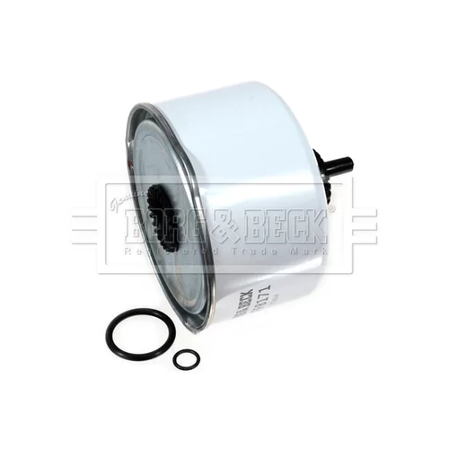 Palivový filter BFF8171 (BORG & BECK) - obr. 1