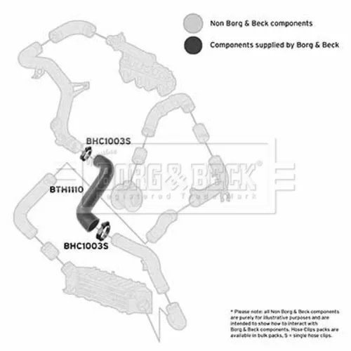 Hadica plniaceho vzduchu BTH1110 (BORG & BECK) - obr. 1