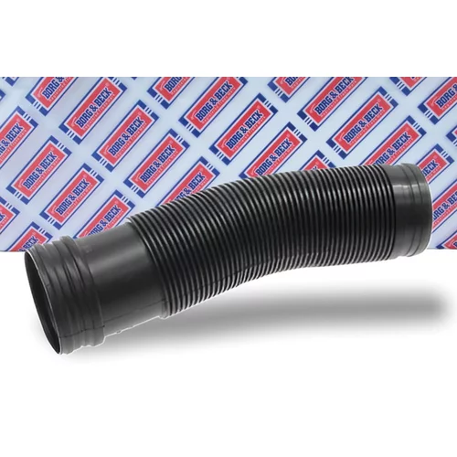 Nasávacia hadica, Vzduchový filter BTH1129 (BORG & BECK) - obr. 1