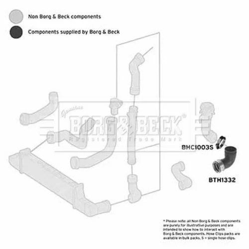 Hadica plniaceho vzduchu BTH1332 (BORG & BECK) - obr. 2