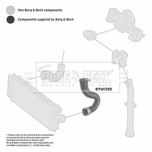 Hadica plniaceho vzduchu BTH1355 (BORG & BECK) - obr. 2