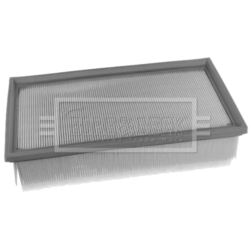 Vzduchový filter BFA2512 (BORG & BECK)