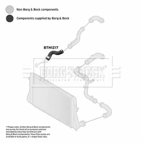 Hadica plniaceho vzduchu BTH1217 (BORG & BECK) - obr. 1