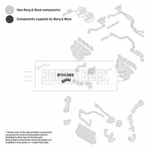 Hadica plniaceho vzduchu BTH1389 (BORG & BECK) - obr. 2