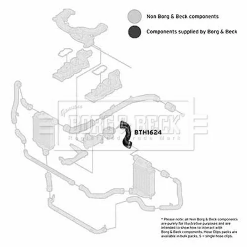 Hadica plniaceho vzduchu BTH1624 (BORG & BECK) - obr. 1