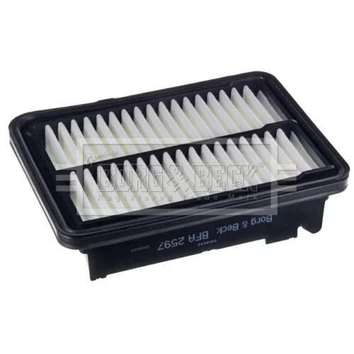 Vzduchový filter BFA2597 (BORG & BECK) - obr. 1