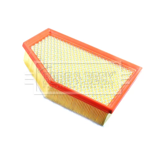 Vzduchový filter BFA2667 (BORG & BECK) - obr. 1