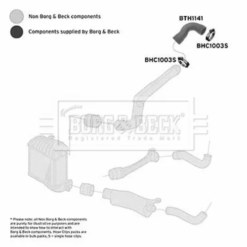 Hadica plniaceho vzduchu BTH1141 (BORG & BECK) - obr. 1