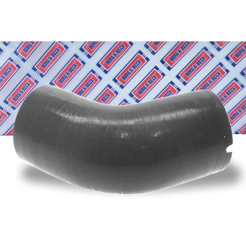 Hadica plniaceho vzduchu BTH1028 (BORG & BECK) - obr. 1