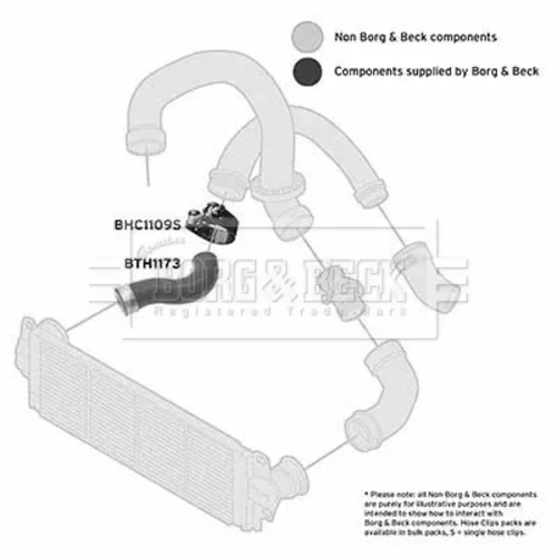 Hadica plniaceho vzduchu BTH1173 (BORG & BECK) - obr. 1