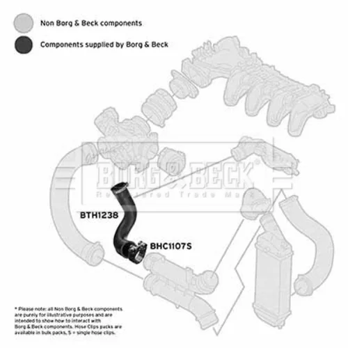 Hadica plniaceho vzduchu BTH1238 (BORG & BECK) - obr. 1