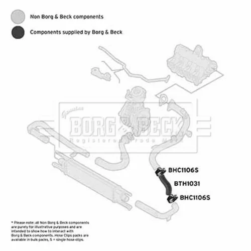 Hadica plniaceho vzduchu BTH1031 (BORG & BECK) - obr. 2