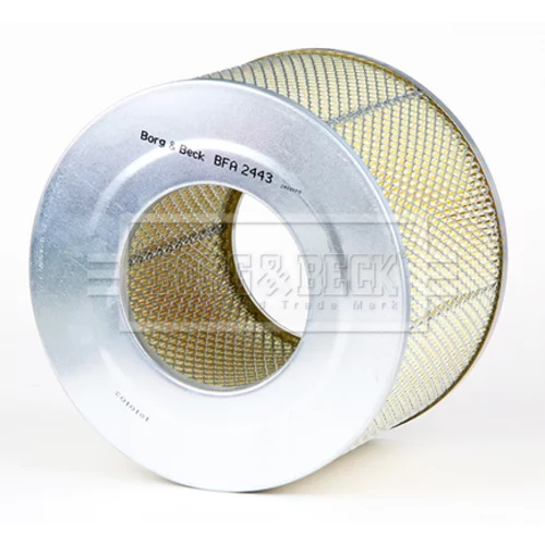 Vzduchový filter BFA2443 (BORG & BECK) - obr. 1