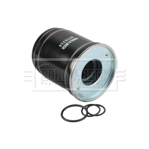 Palivový filter BFF8316 (BORG & BECK) - obr. 1