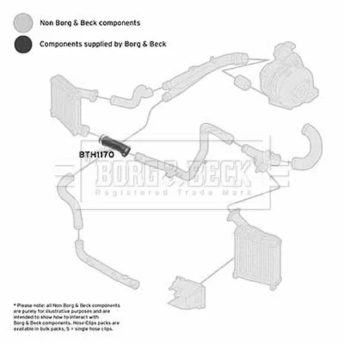Hadica plniaceho vzduchu BTH1170 (BORG & BECK) - obr. 2