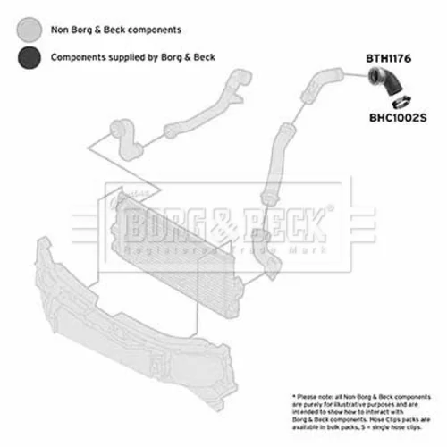 Hadica plniaceho vzduchu BTH1176 (BORG & BECK) - obr. 1