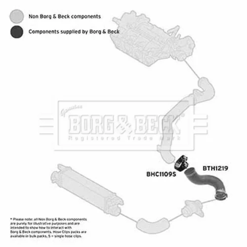 Hadica plniaceho vzduchu BTH1219 (BORG & BECK) - obr. 2