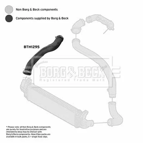 Hadica plniaceho vzduchu BTH1295 (BORG & BECK) - obr. 1
