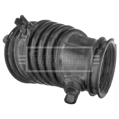 Nasávacia hadica, Vzduchový filter BORG & BECK BTH1650
