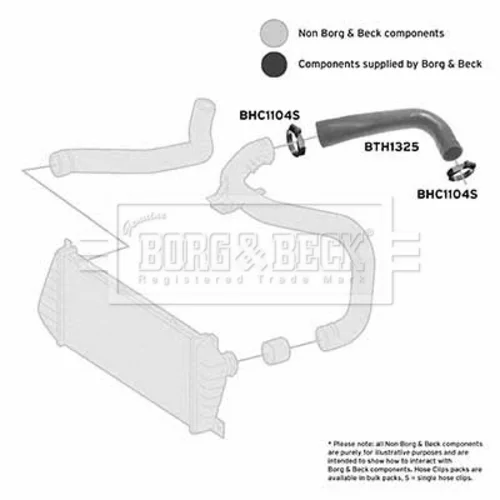 Hadica plniaceho vzduchu BTH1325 (BORG & BECK) - obr. 2