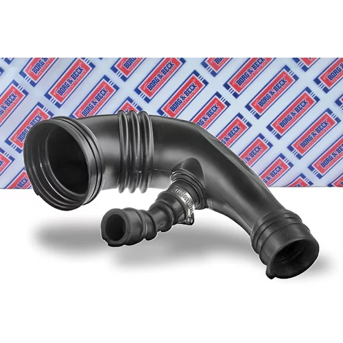 Nasávacia hadica, Vzduchový filter BTH1612 (BORG & BECK) - obr. 1