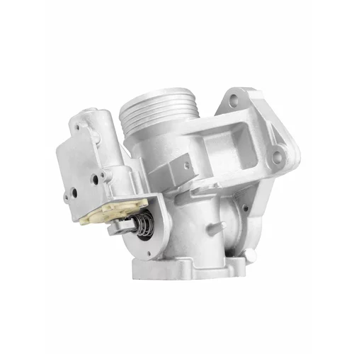 EGR ventil WAHLER 712007R