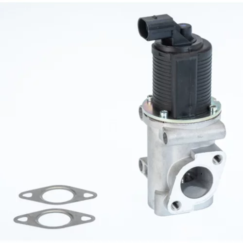 EGR ventil WAHLER 710772D/1