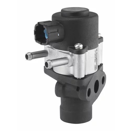 EGR ventil WAHLER 712073D