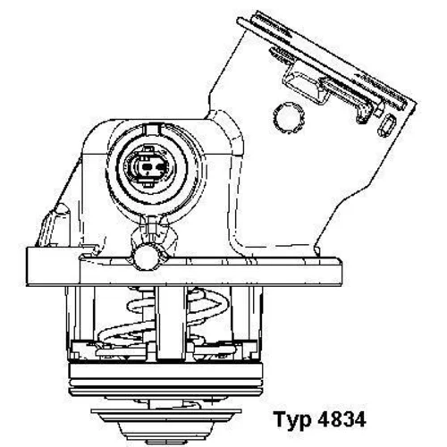 Termostat chladenia 4834.100D /WAHLER/ - obr. 1