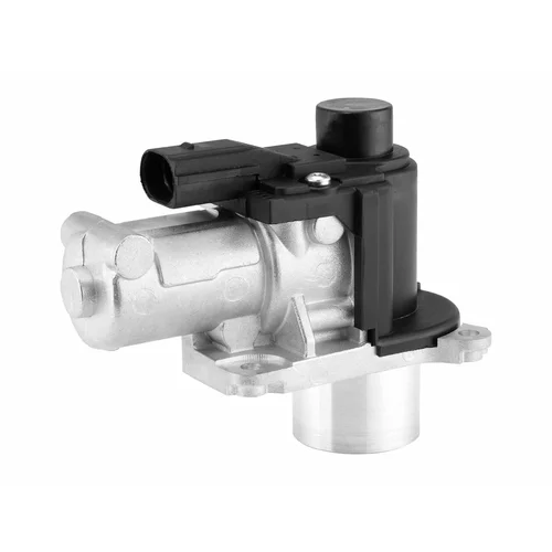 EGR ventil WAHLER 710572D