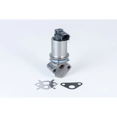 EGR ventil WAHLER 710780D0
