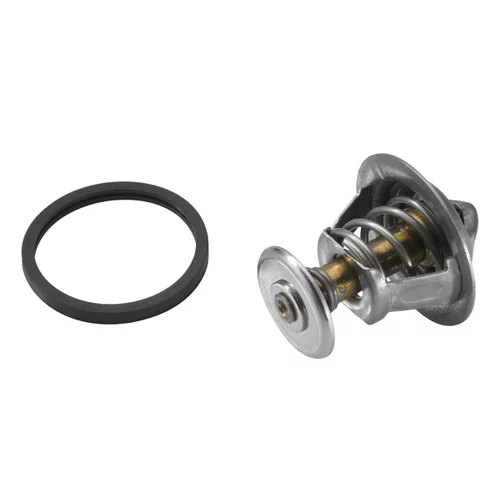 Termostat chladenia 4821.89D /WAHLER/ - obr. 1