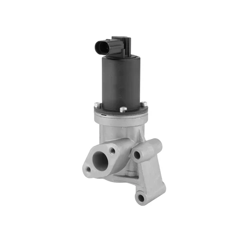 EGR ventil WAHLER 712005R