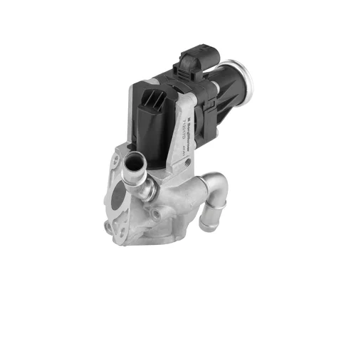 EGR ventil 712017D /WAHLER/ - obr. 1