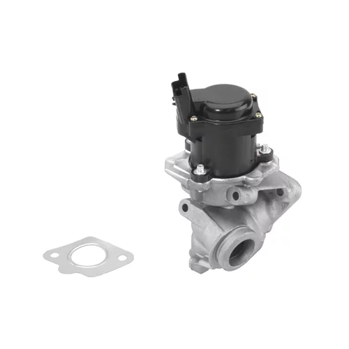 EGR ventil WAHLER 710929R