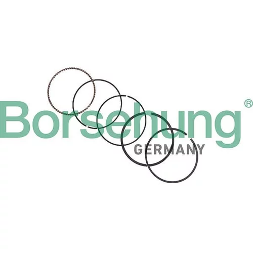 Sada piestnych krúžkov Borsehung B10374