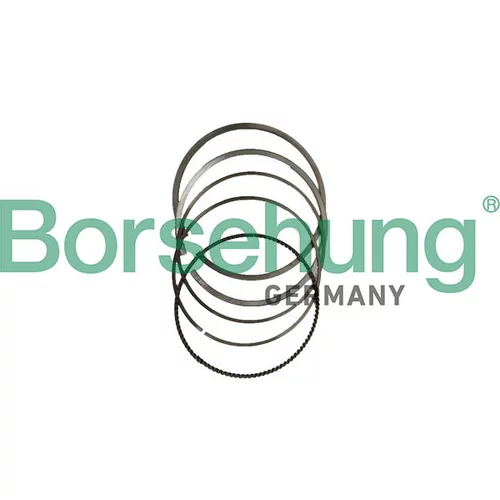 Sada piestnych krúžkov Borsehung B10378