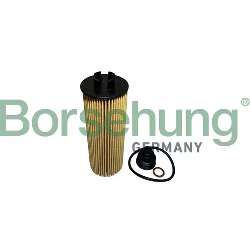 Olejový filter Borsehung B10436