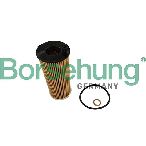 Olejový filter Borsehung B10447