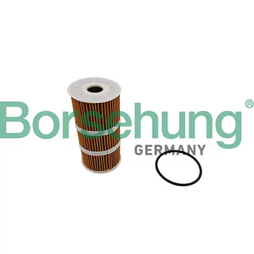 Olejový filter Borsehung B10458