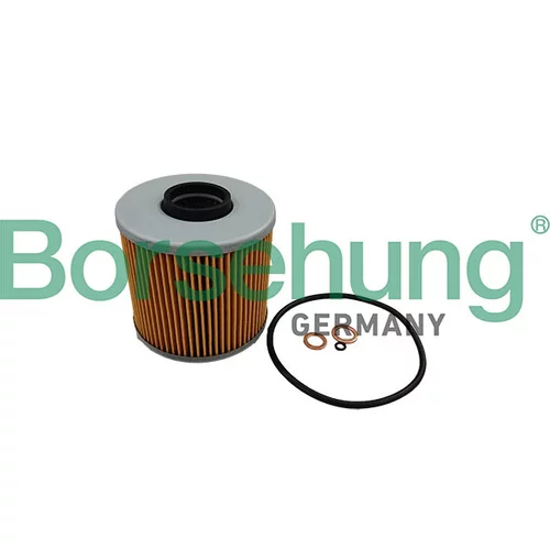 Olejový filter Borsehung B10465