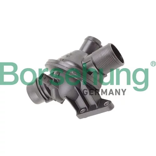 Termostat chladenia Borsehung B10562