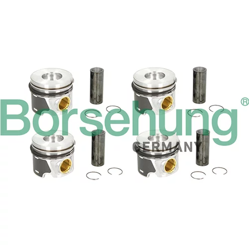 Piest Borsehung B11131