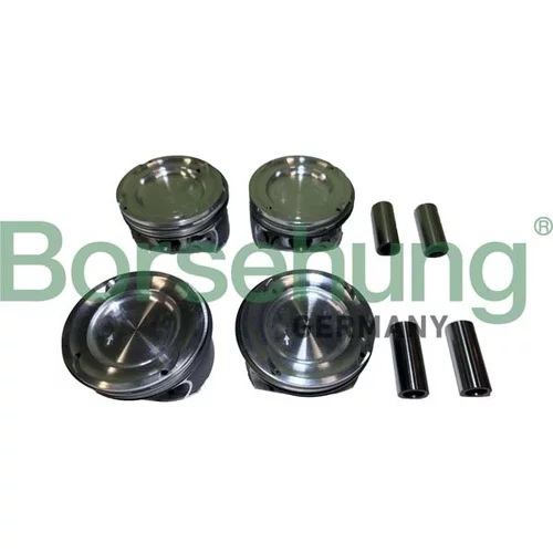 Piest Borsehung B11141