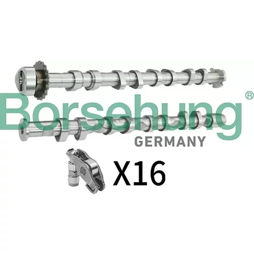 Sada vačkového hriadeľa Borsehung B13454