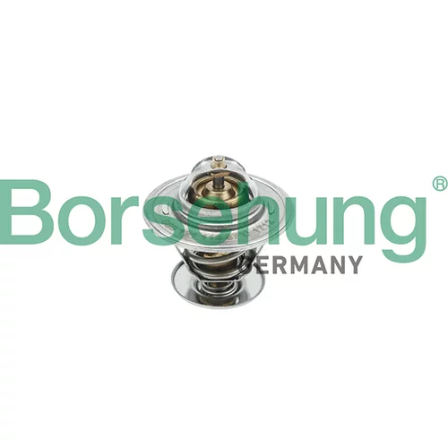 Termostat chladenia Borsehung B18245