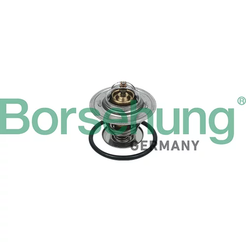 Termostat chladenia Borsehung B18246