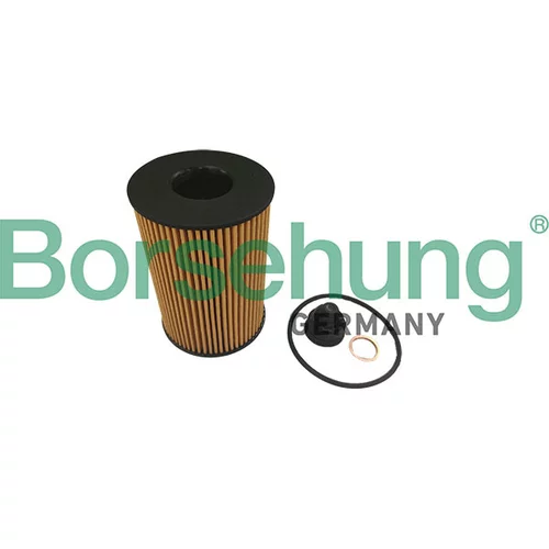 Olejový filter Borsehung B10461
